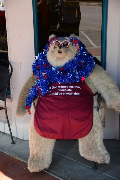 DSC_2485 (Large).JPG